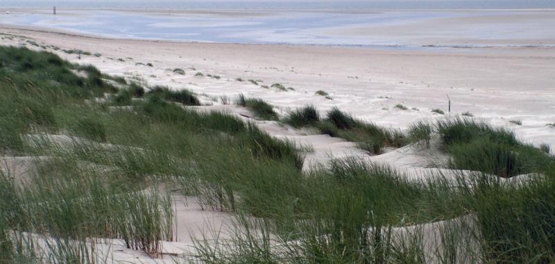 Duna blanca en el parque nacional del Mar de Frisia